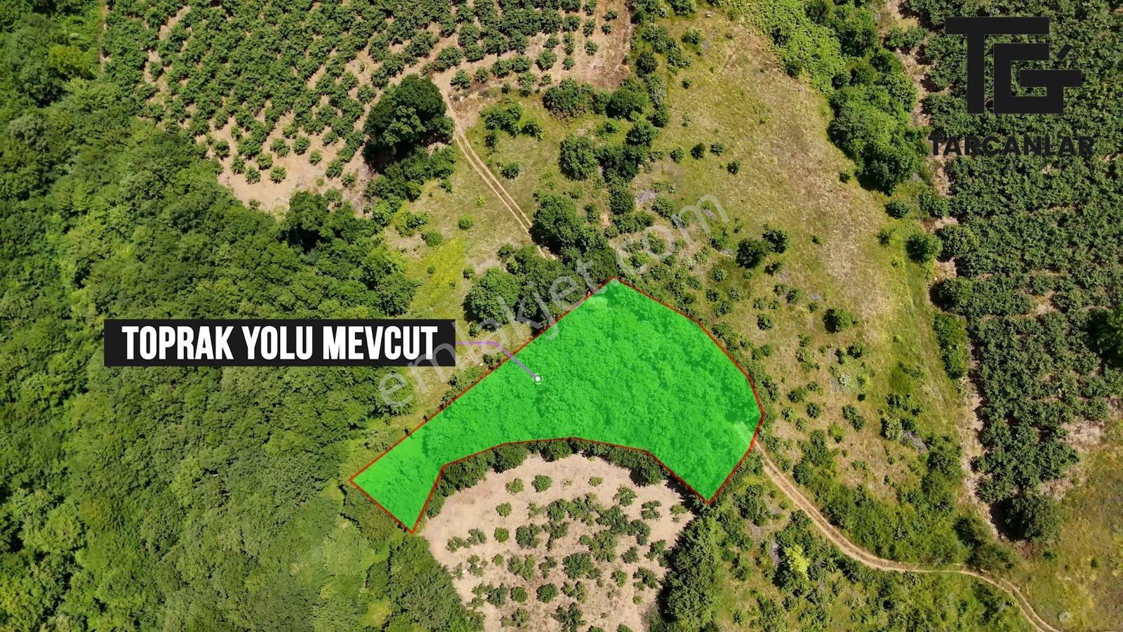 Tarcanlar'dan Akmeşe Bağlıca Da Satılık 1584m2 Tarla - Görsel 6