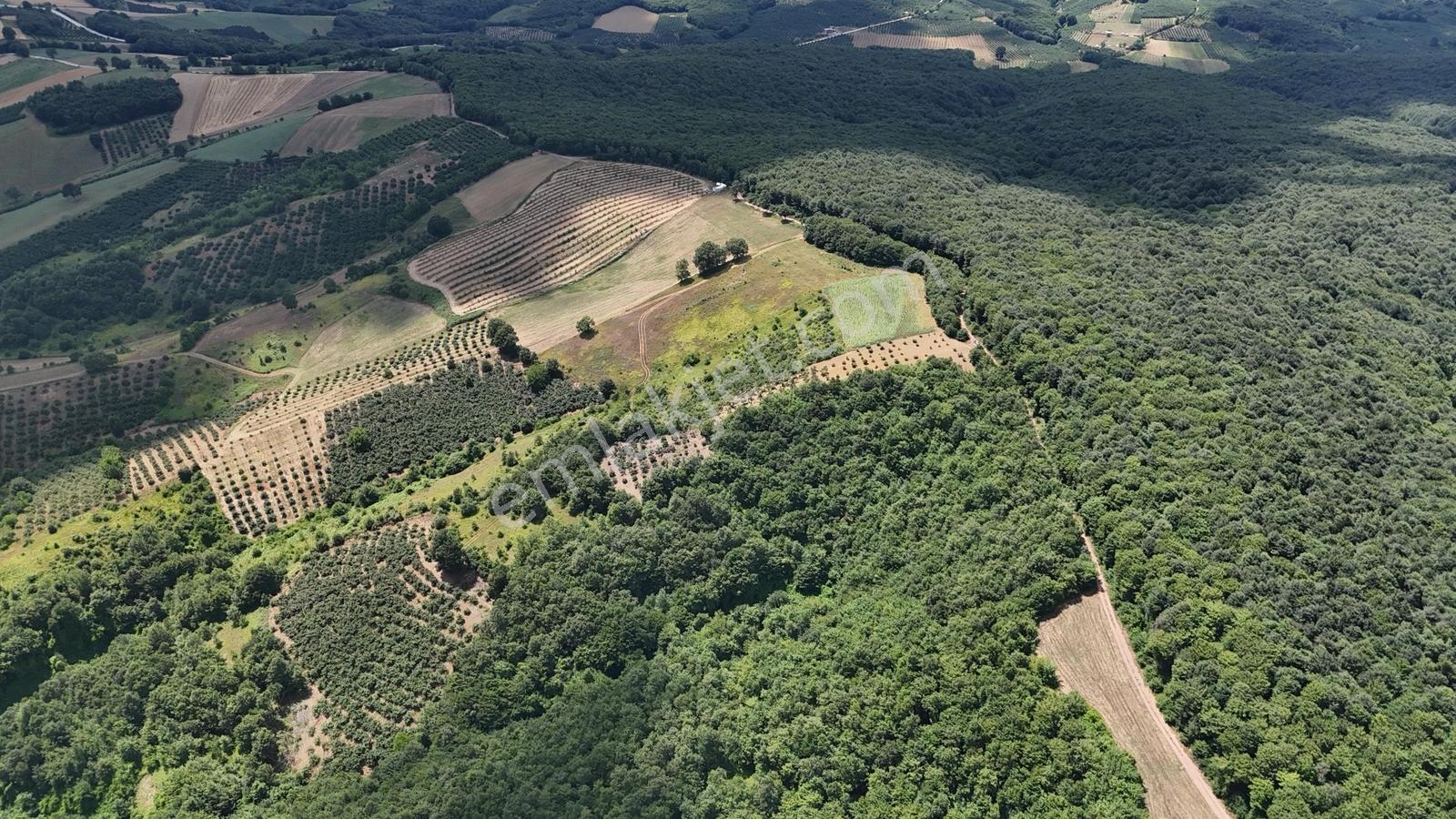 Tarcanlar'dan Akmeşe Bağlıca Da Satılık 1584m2 Tarla - Görsel 10