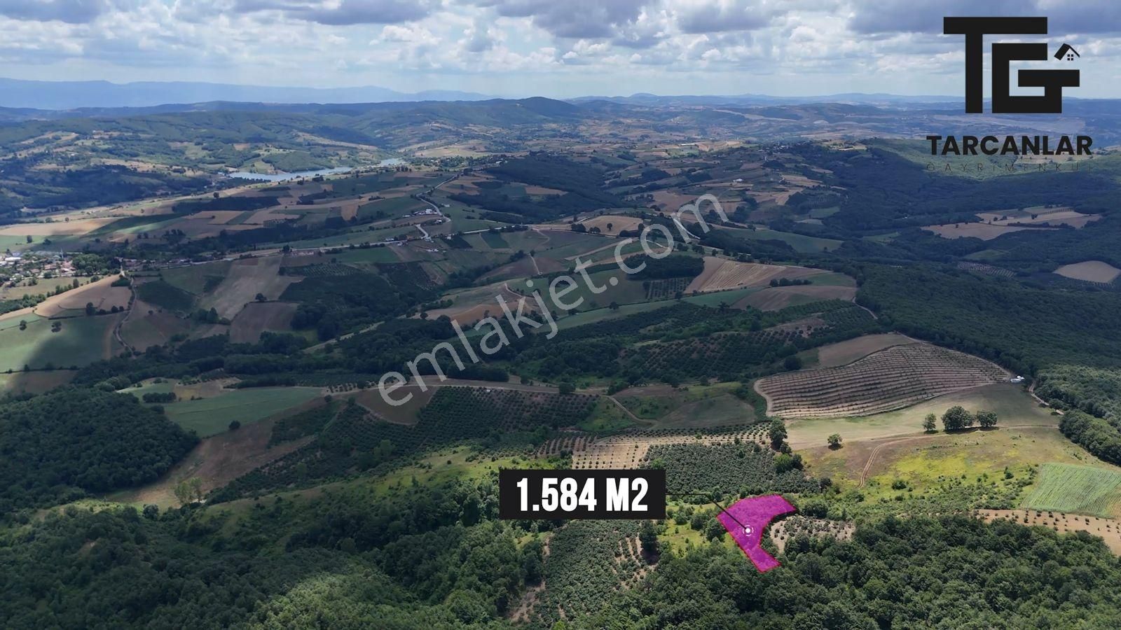 Tarcanlar'dan Akmeşe Bağlıca Da Satılık 1584m2 Tarla - Görsel 4