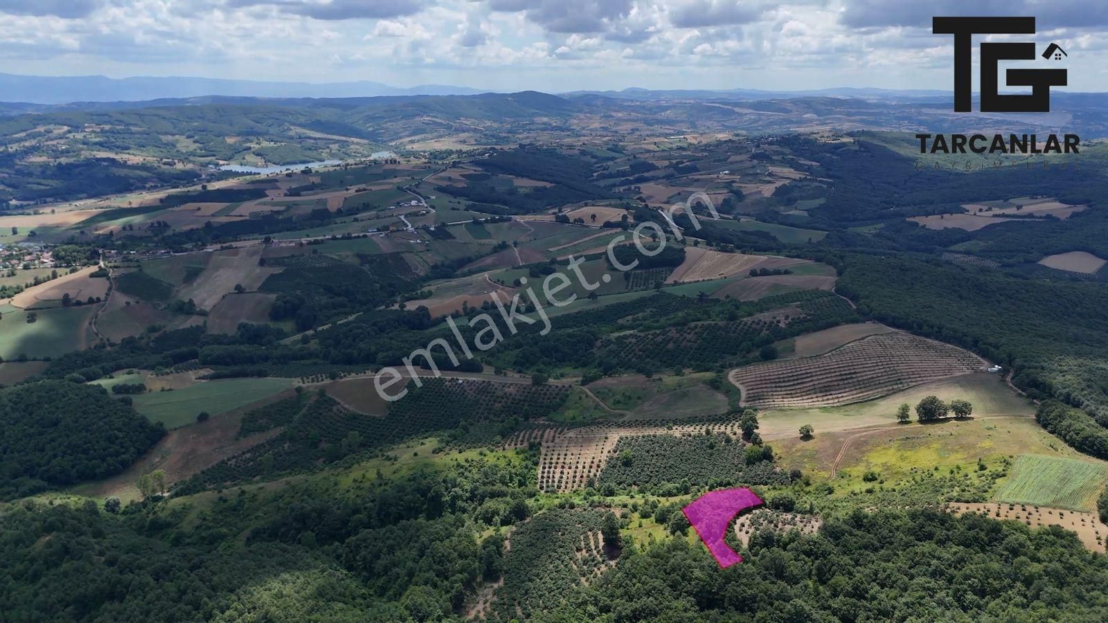 Tarcanlar'dan Akmeşe Bağlıca Da Satılık 1584m2 Tarla - Görsel 8