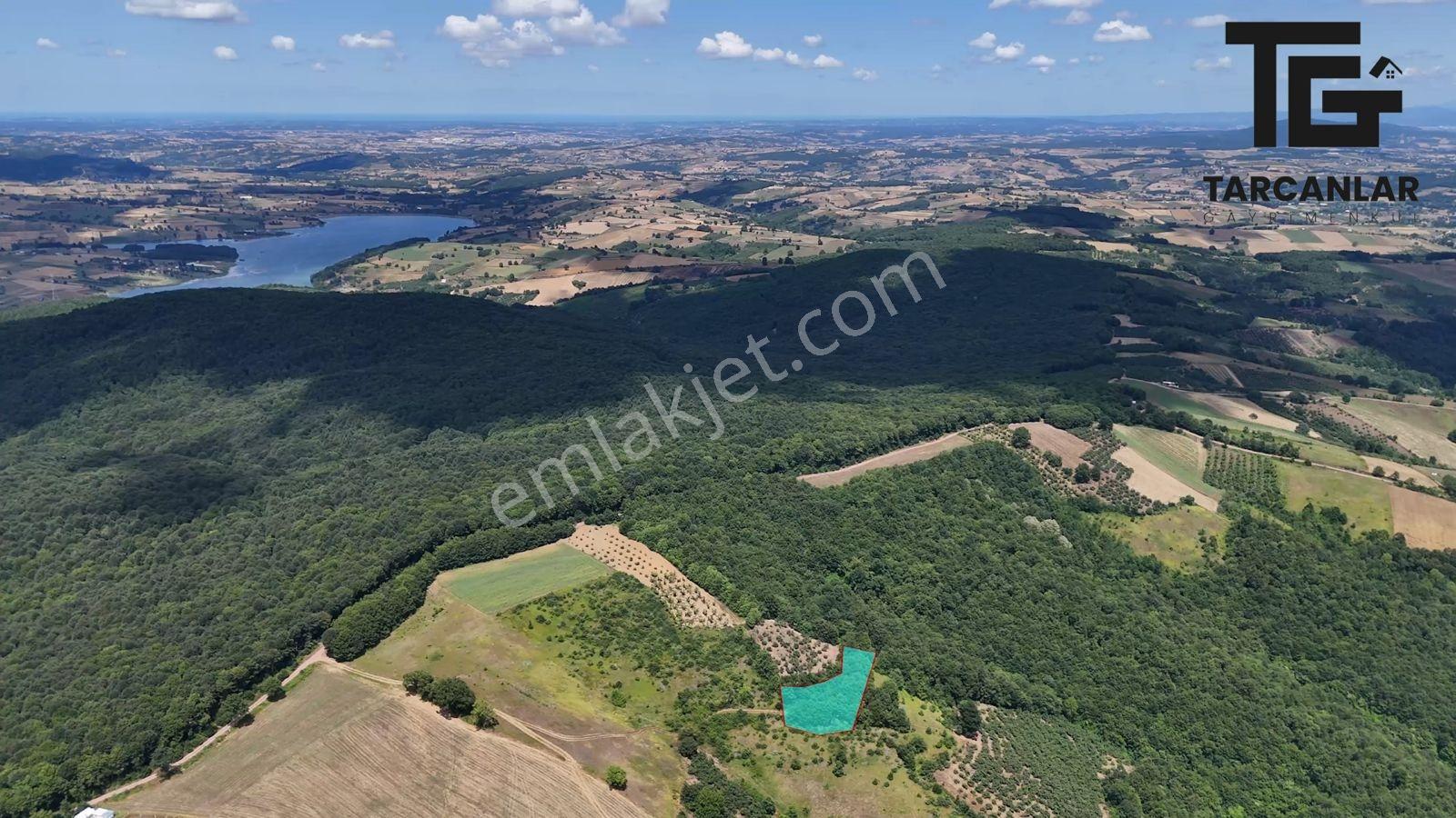 Tarcanlar'dan Akmeşe Bağlıca Da Satılık 1584m2 Tarla - Görsel 5
