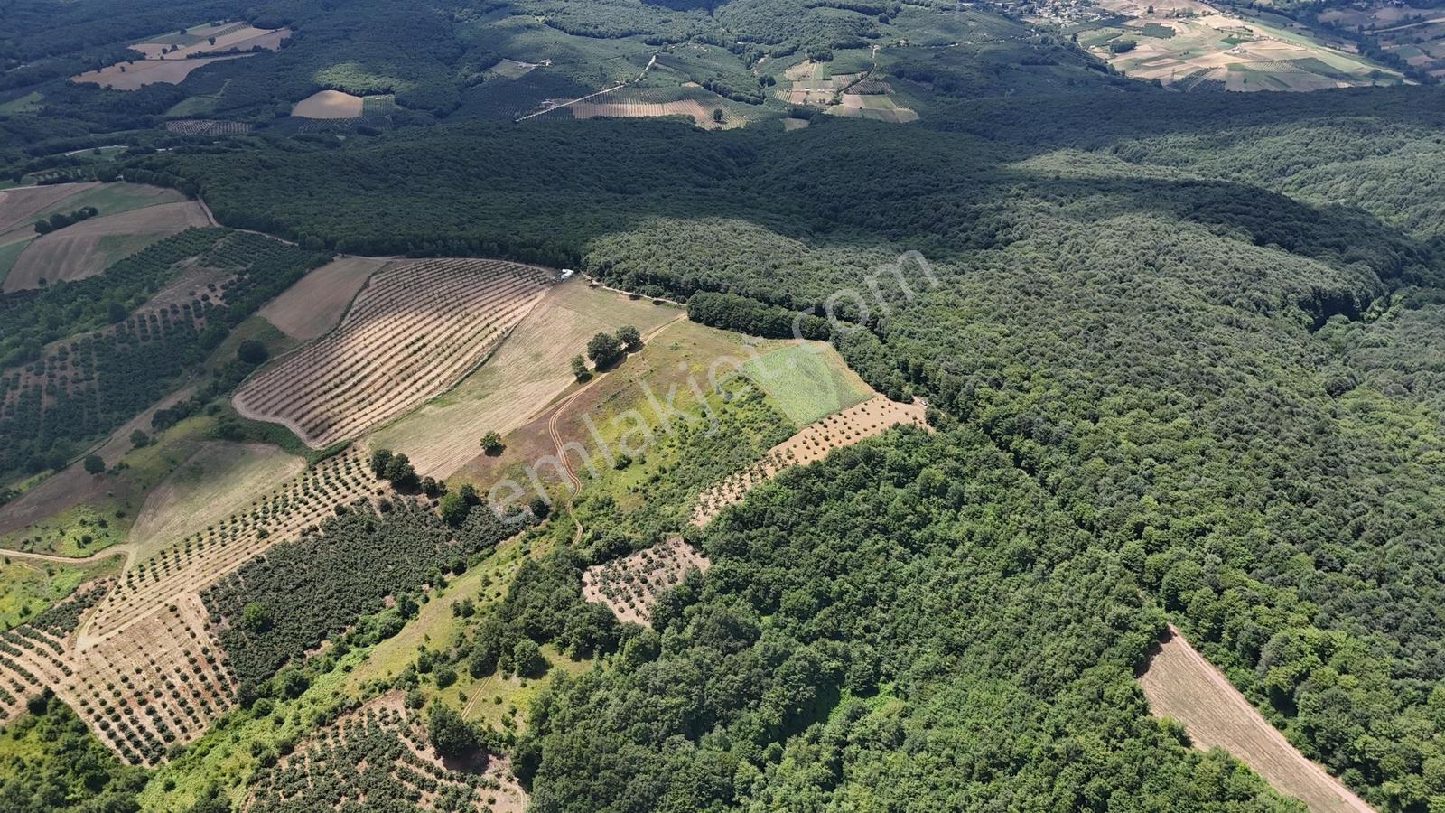 Tarcanlar'dan Akmeşe Bağlıca Da Satılık 1584m2 Tarla - Görsel 9