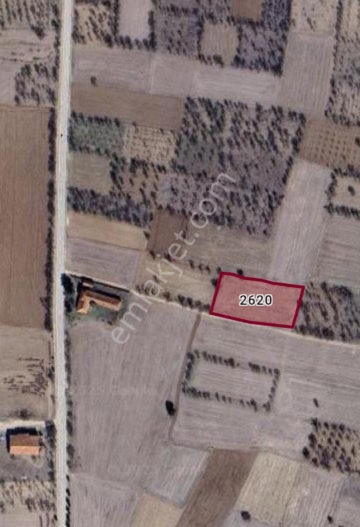 Ana Asfalta 3 Cü Parsel - Görsel 3