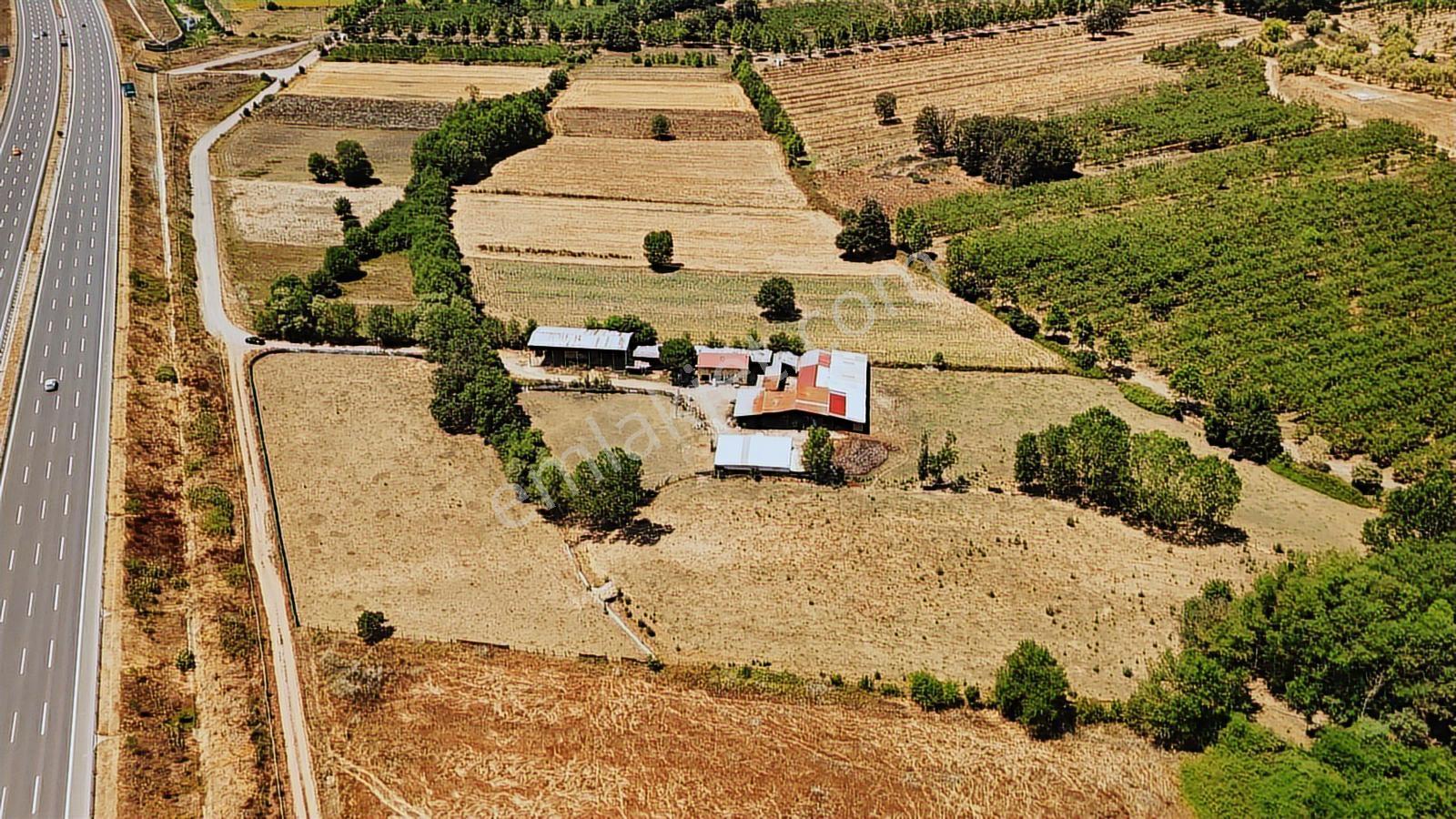 Otobana Cephe Akmeşe Köyünde Hazır Çiftlik - Görsel 34