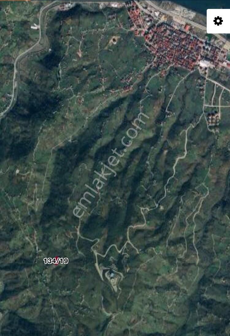 Özgür Emlak'tan Bir Fırsat Arazi Fındıklık - Görsel 20