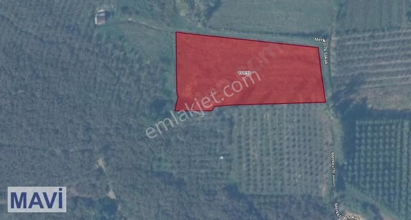 Remax Mavi'den Kocaali Demiraçma'da Denize Yakın Parsel - Görsel 5