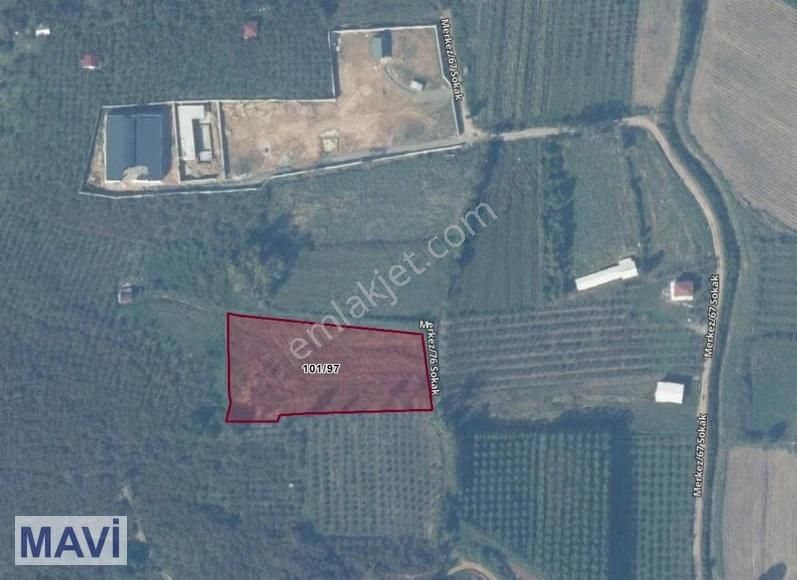 Remax Mavi'den Kocaali Demiraçma'da Denize Yakın Parsel - Görsel 3