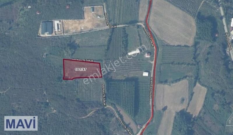 Remax Mavi'den Kocaali Demiraçma'da Denize Yakın Parsel