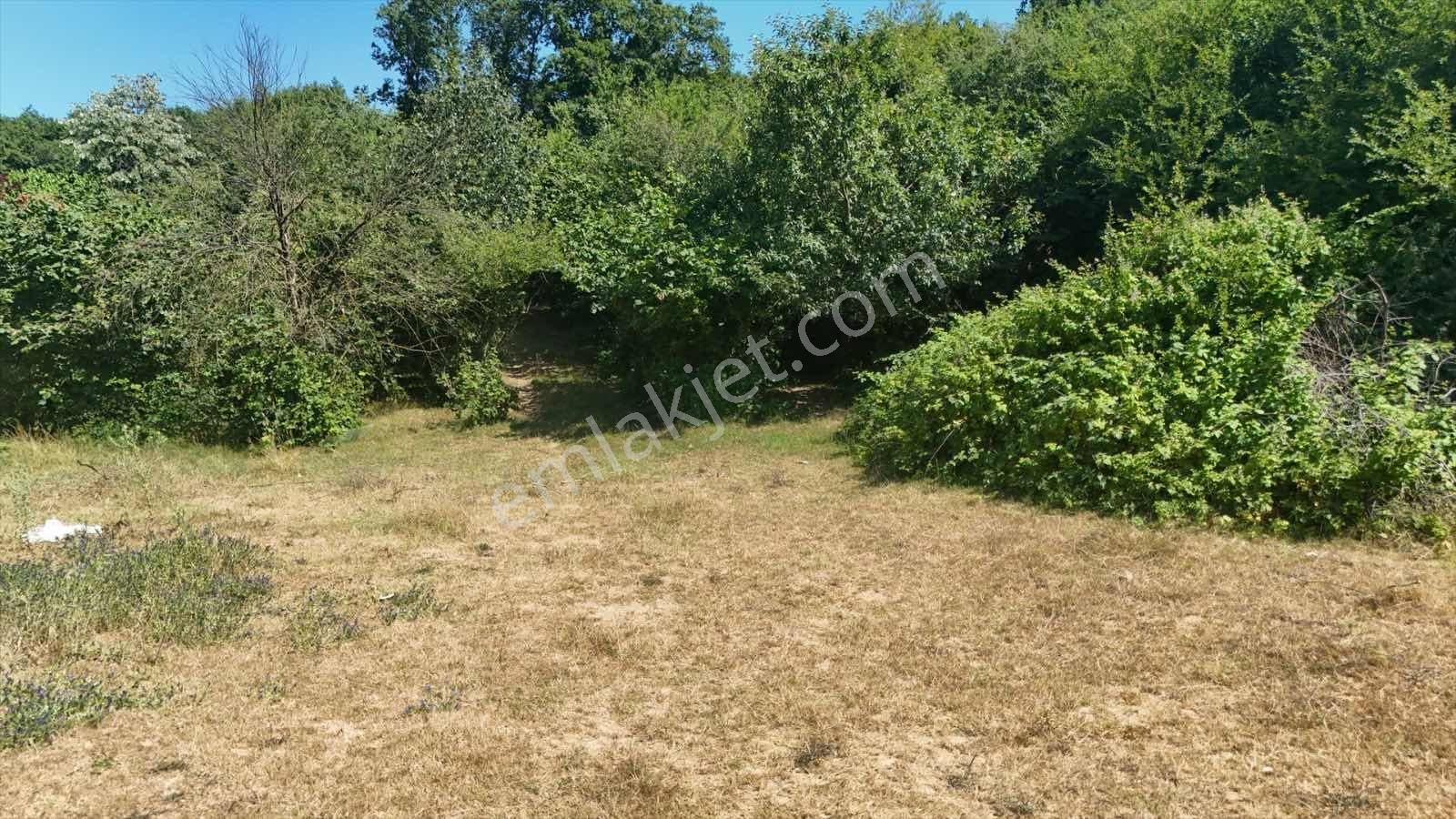 Şile Üvezli De Güzel Konumda Villa Yapmaya Uygun Arsa - Görsel 13