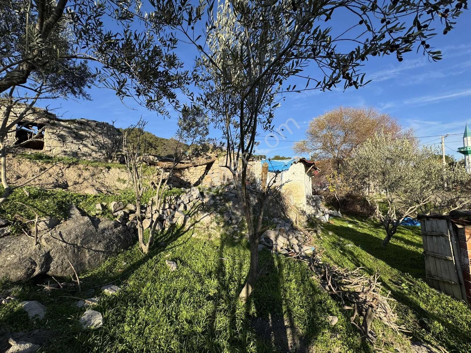 Bergama Gökçeyurt Mh. 413 M² Köy Evi Ve Arsası - Görsel 18