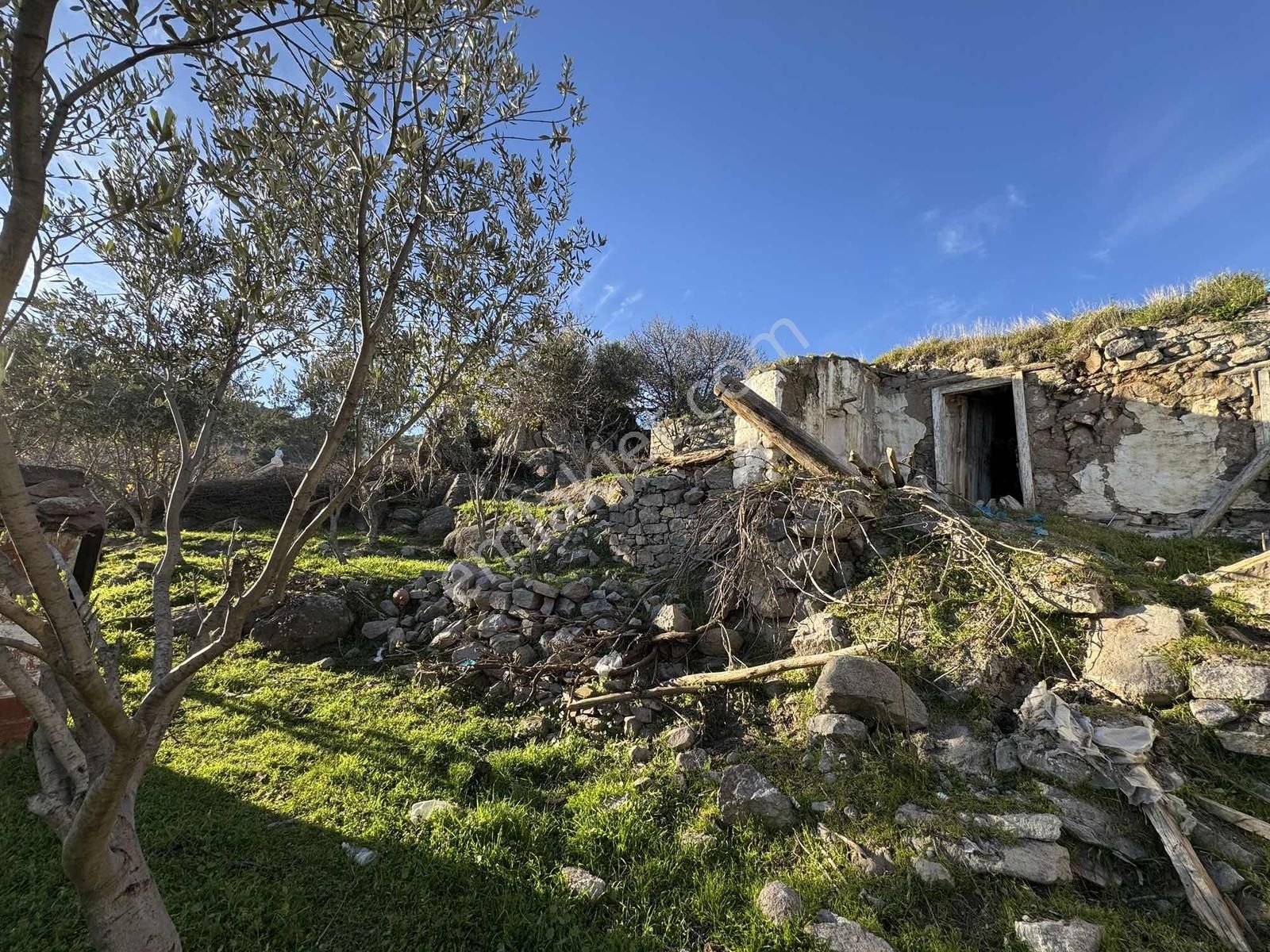 Bergama Gökçeyurt Mh. 413 M² Köy Evi Ve Arsası - Görsel 10