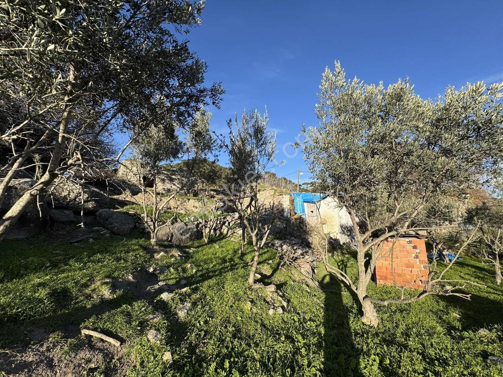 Bergama Gökçeyurt Mh. 413 M² Köy Evi Ve Arsası - Görsel 19