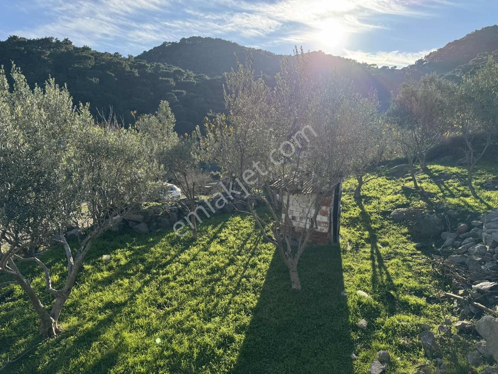 Bergama Gökçeyurt Mh. 413 M² Köy Evi Ve Arsası - Görsel 15