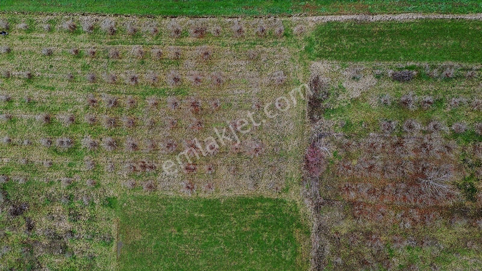 Duru Yapı Gayrimenkulden Satılık 2035 M2 Fındık Bahçesi - Görsel 14