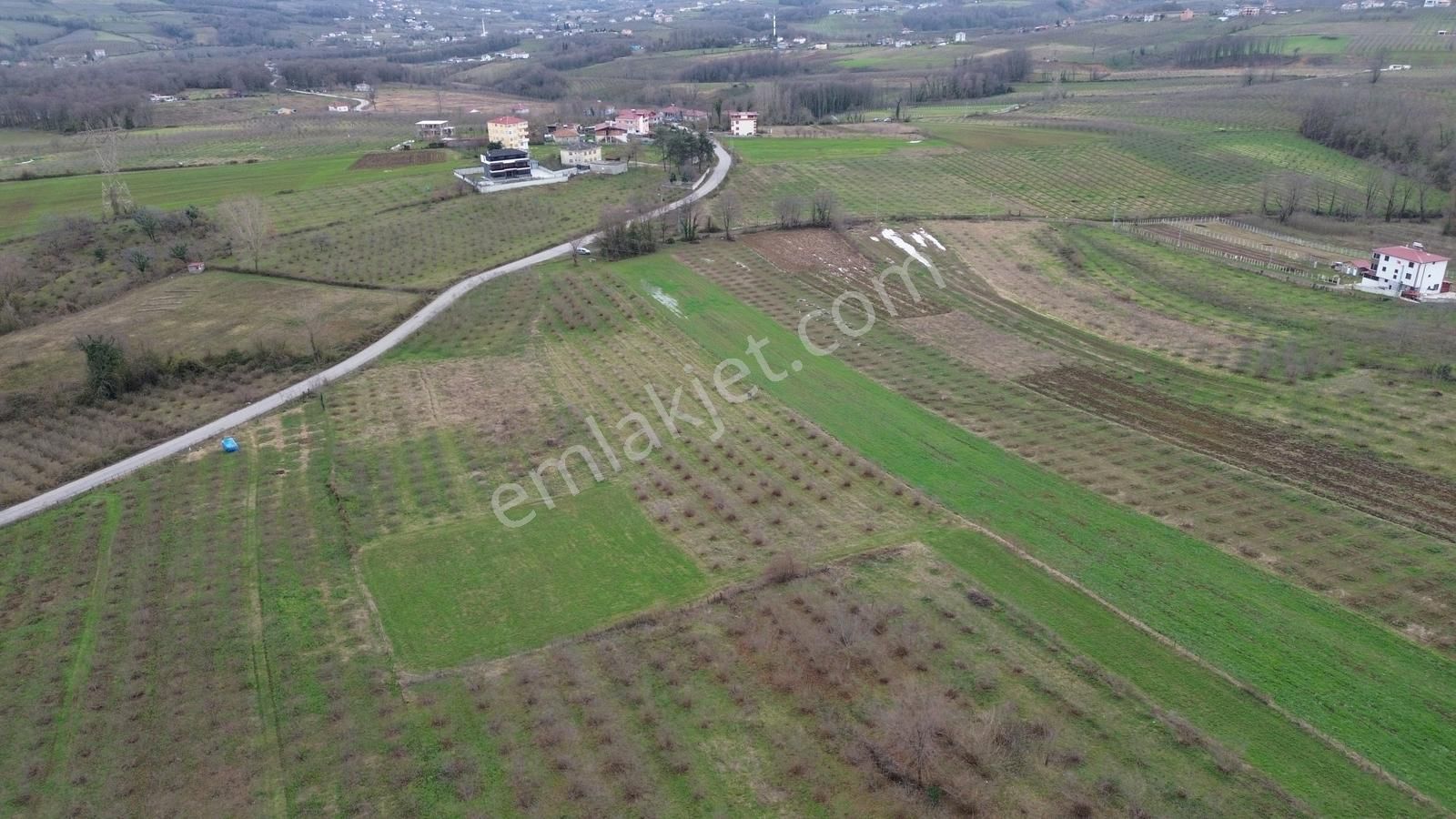 Duru Yapı Gayrimenkulden Satılık 2035 M2 Fındık Bahçesi - Görsel 17