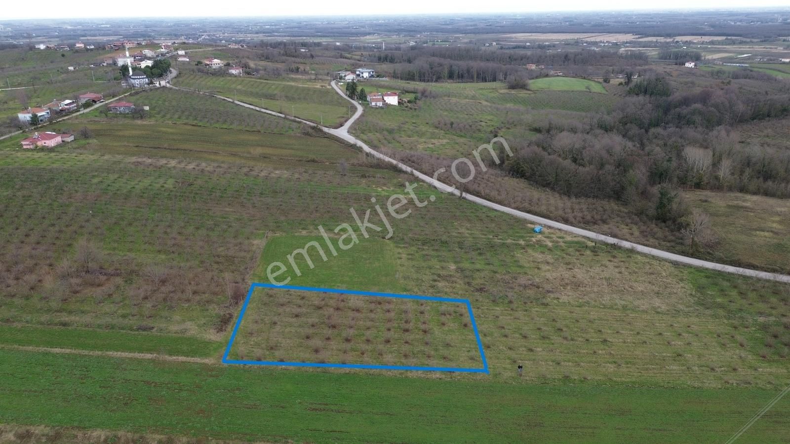 Duru Yapı Gayrimenkulden Satılık 2035 M2 Fındık Bahçesi