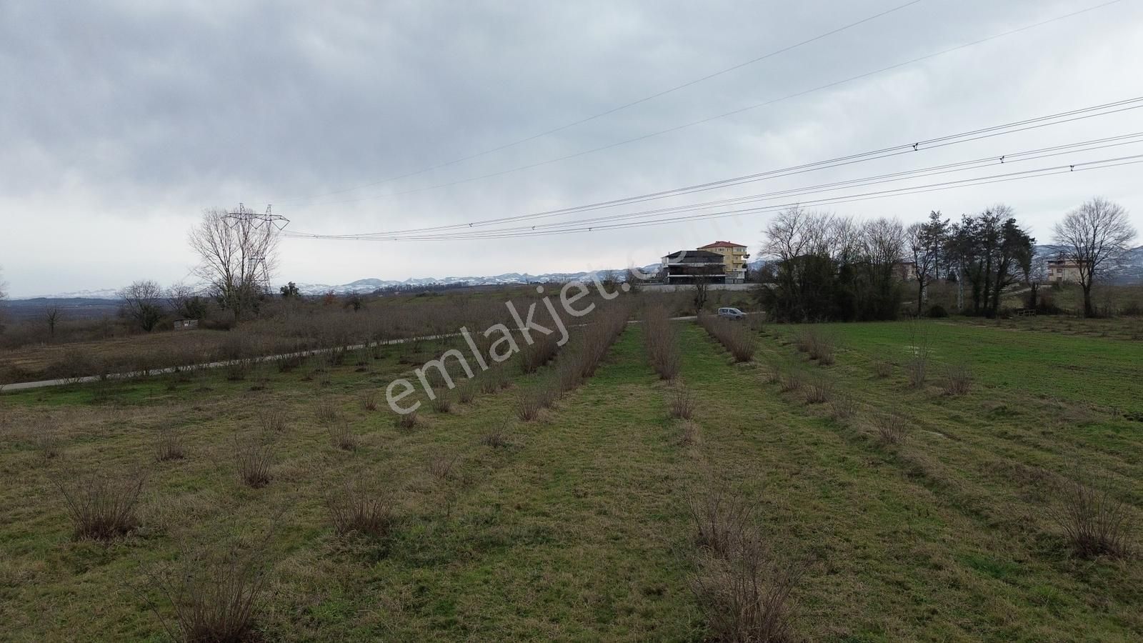 Duru Yapı Gayrimenkulden Satılık 2035 M2 Fındık Bahçesi - Görsel 19