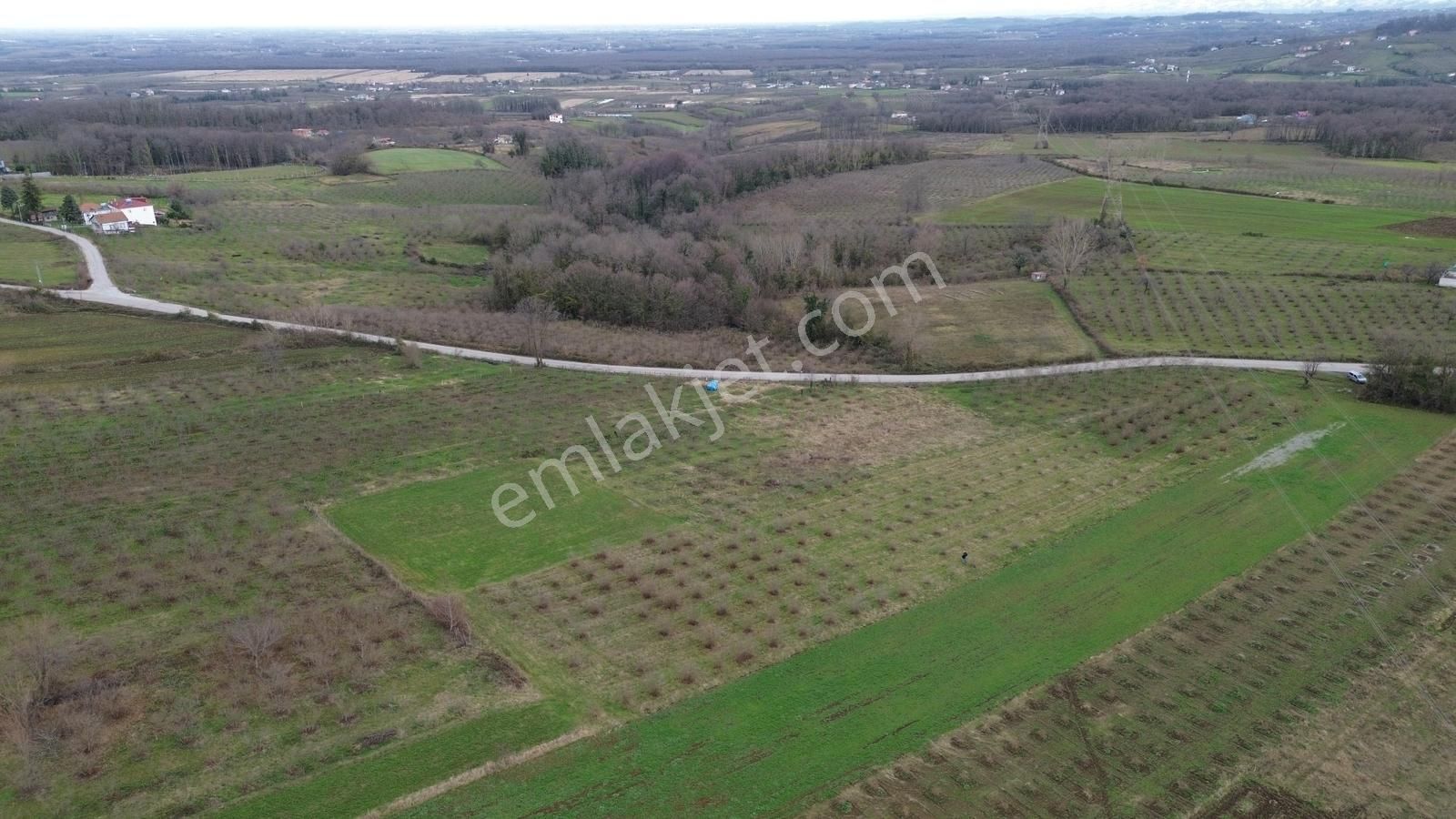 Duru Yapı Gayrimenkulden Satılık 2035 M2 Fındık Bahçesi - Görsel 10