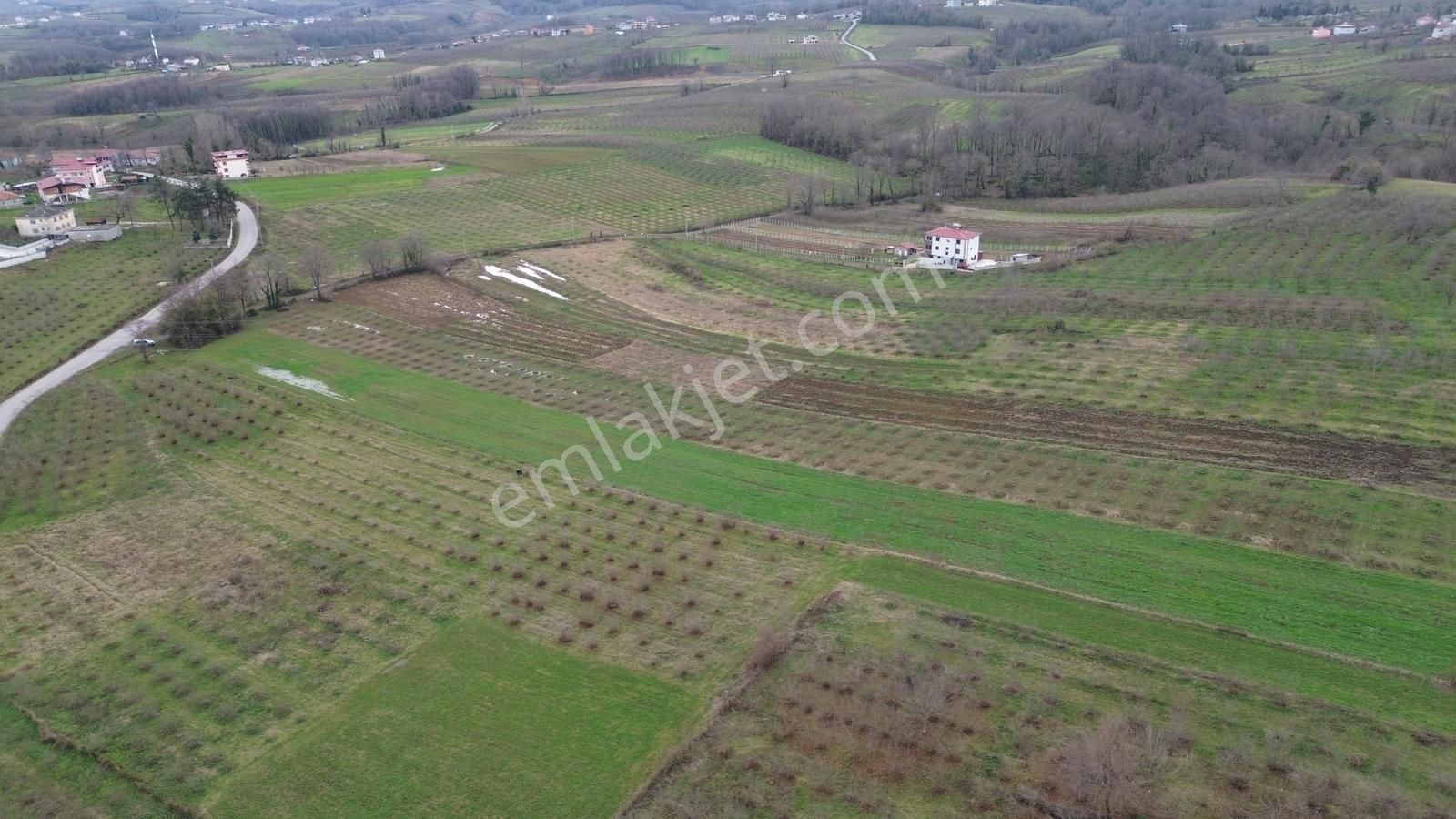 Duru Yapı Gayrimenkulden Satılık 2035 M2 Fındık Bahçesi - Görsel 12