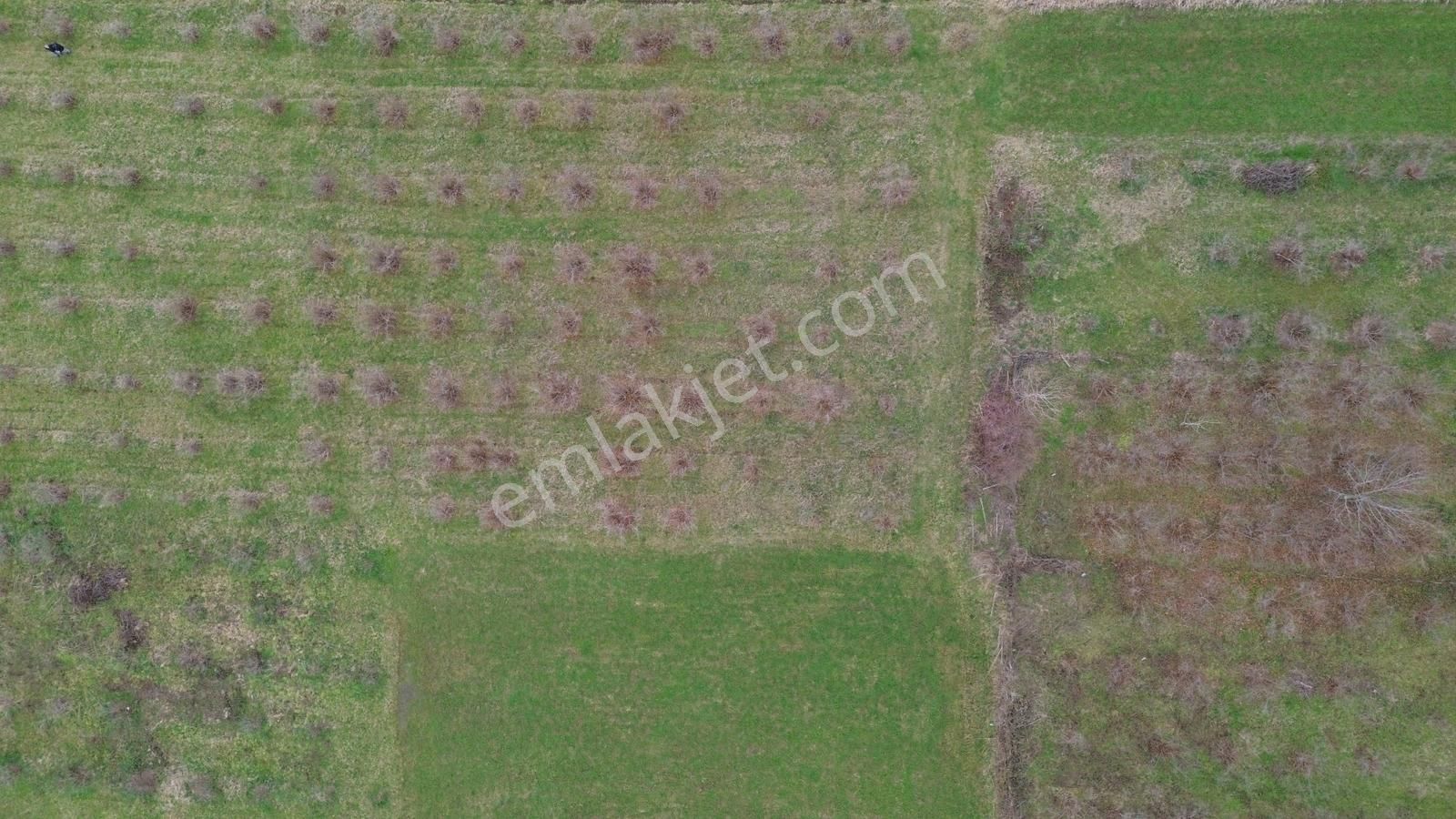 Duru Yapı Gayrimenkulden Satılık 2035 M2 Fındık Bahçesi - Görsel 20