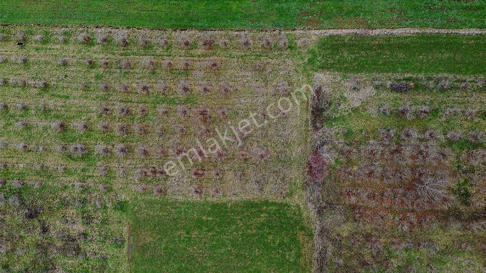 Duru Yapı Gayrimenkulden Satılık 2035 M2 Fındık Bahçesi - Görsel 21