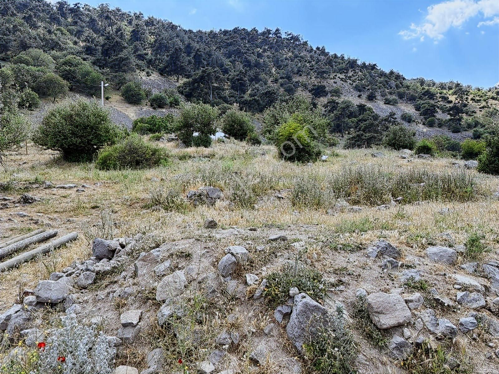 874 M2 Köy Merkezinde.tek Tapu.yol,su,elektrik Dibinde. - Görsel 20