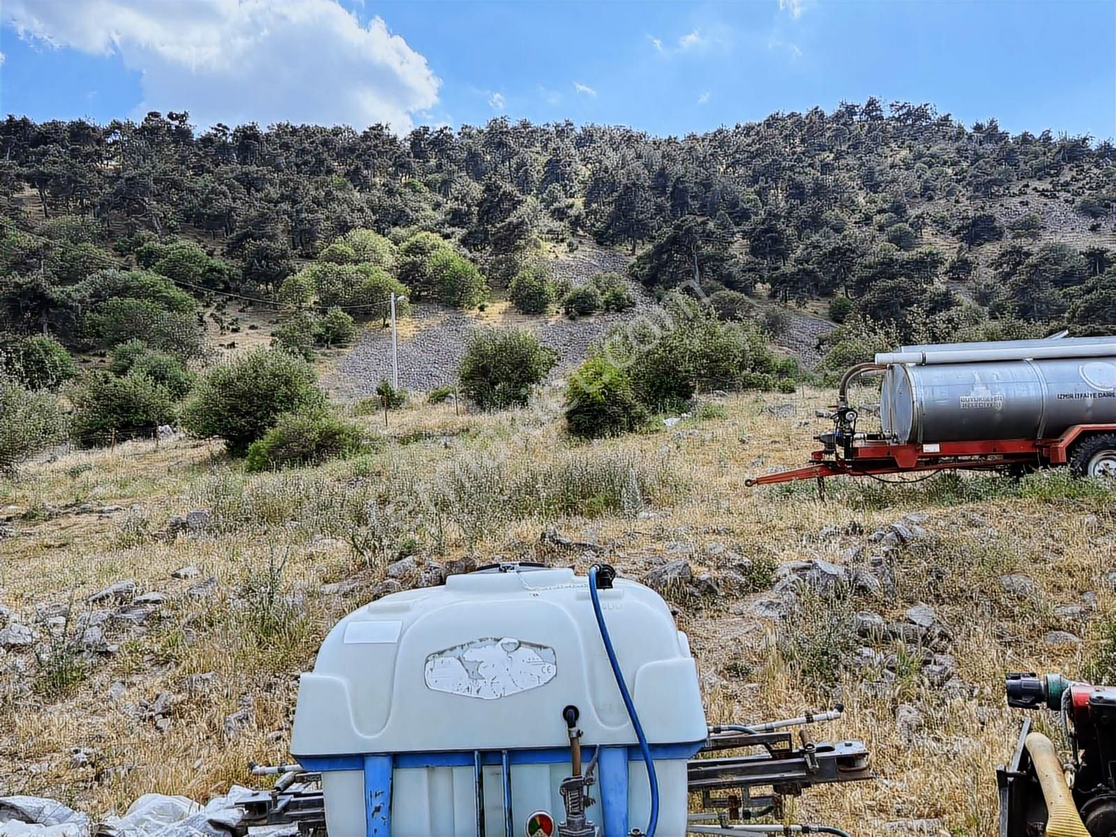 874 M2 Köy Merkezinde.tek Tapu.yol,su,elektrik Dibinde. - Görsel 10