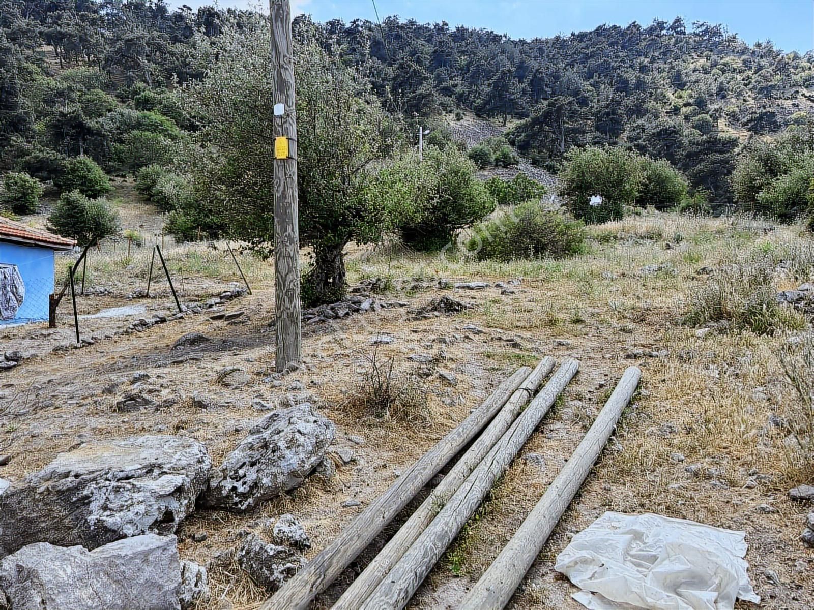 874 M2 Köy Merkezinde.tek Tapu.yol,su,elektrik Dibinde. - Görsel 23