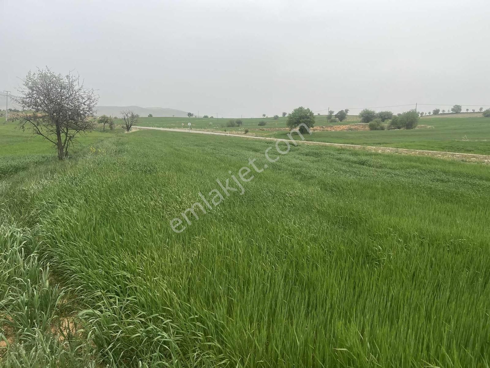 Beyşehir Hüyük Anayoluna Cephe 576 Metre Arazi.tam Yatırımlık - Görsel 14