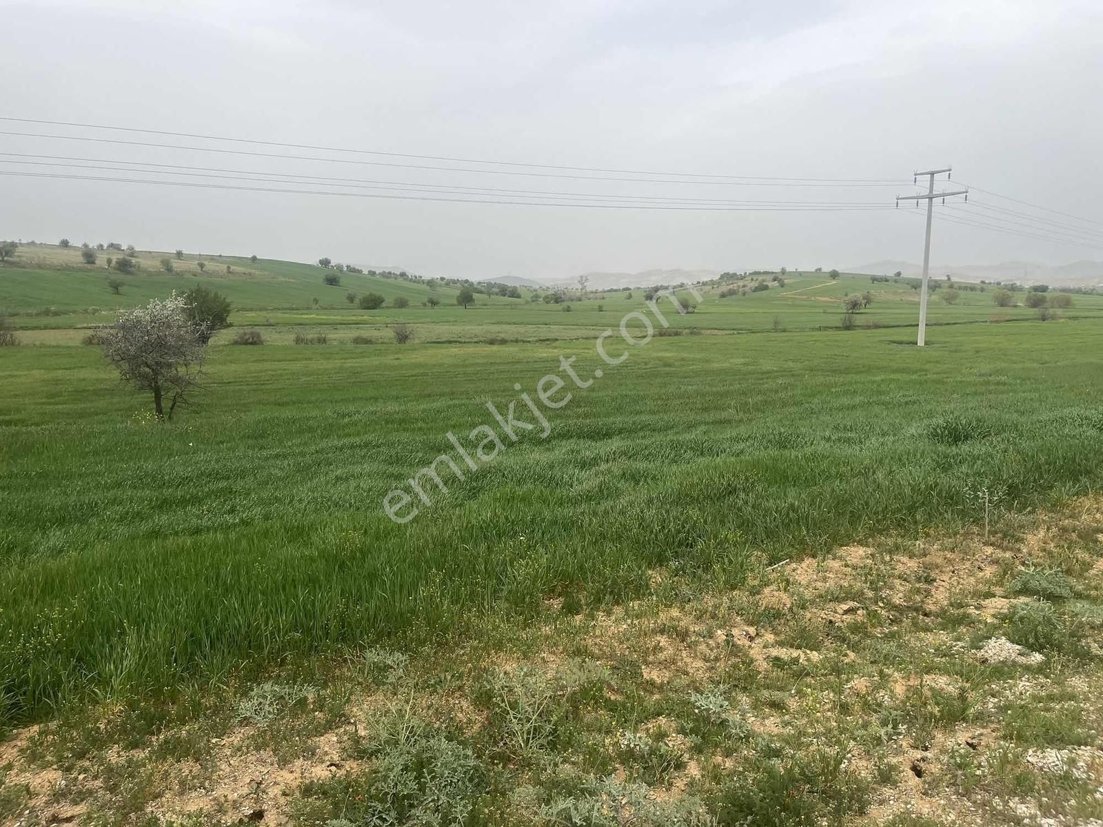 Beyşehir Hüyük Anayoluna Cephe 576 Metre Arazi.tam Yatırımlık - Görsel 6