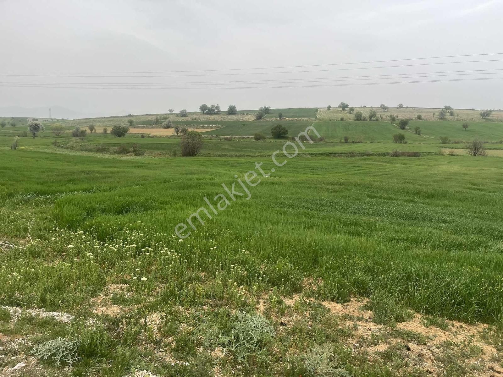 Beyşehir Hüyük Anayoluna Cephe 576 Metre Arazi.tam Yatırımlık - Görsel 8