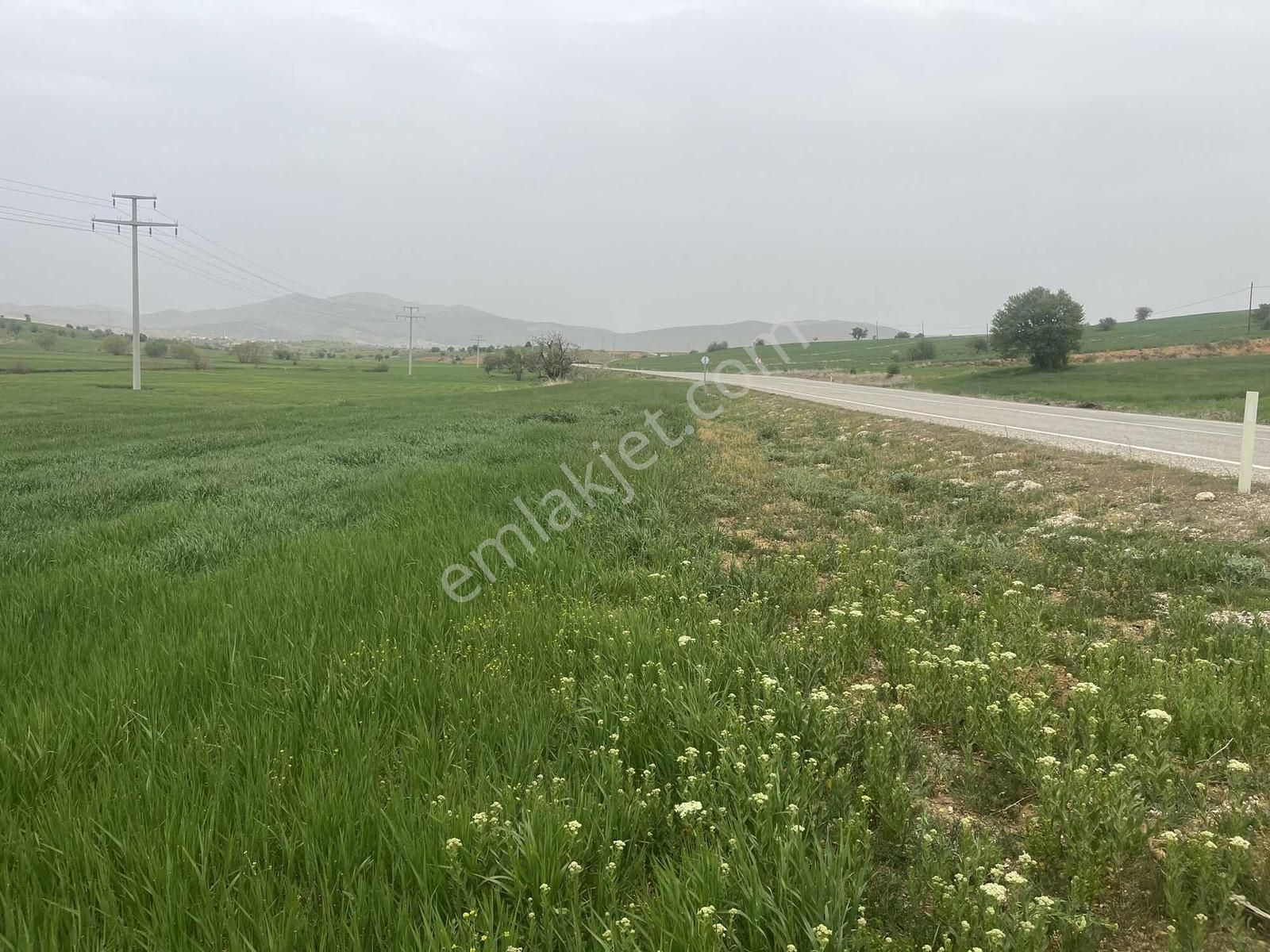 Beyşehir Hüyük Anayoluna Cephe 576 Metre Arazi.tam Yatırımlık