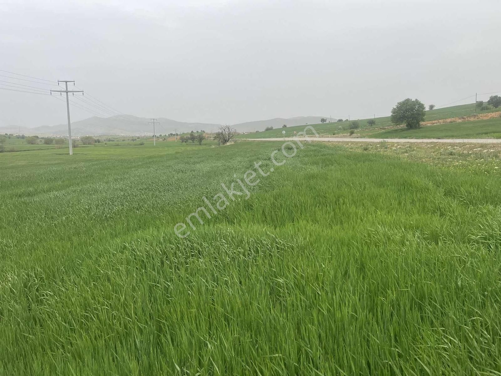 Beyşehir Hüyük Anayoluna Cephe 576 Metre Arazi.tam Yatırımlık - Görsel 25