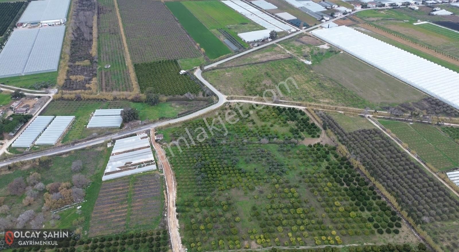Serik Karadayı Bölgesi 19410 M2 Müstakil Tapulu Bahçe - Görsel 4