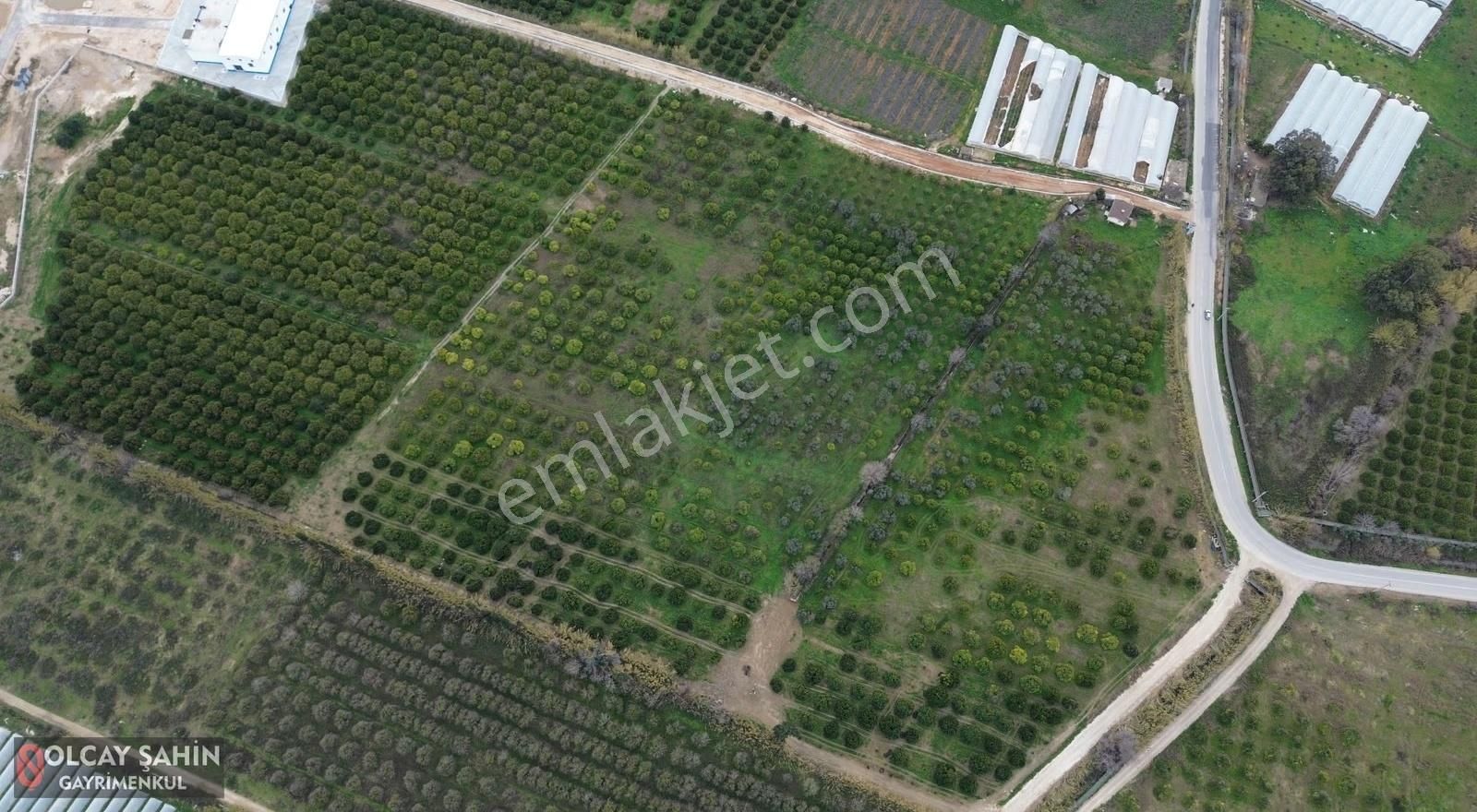 Serik Karadayı Bölgesi 19410 M2 Müstakil Tapulu Bahçe - Görsel 10