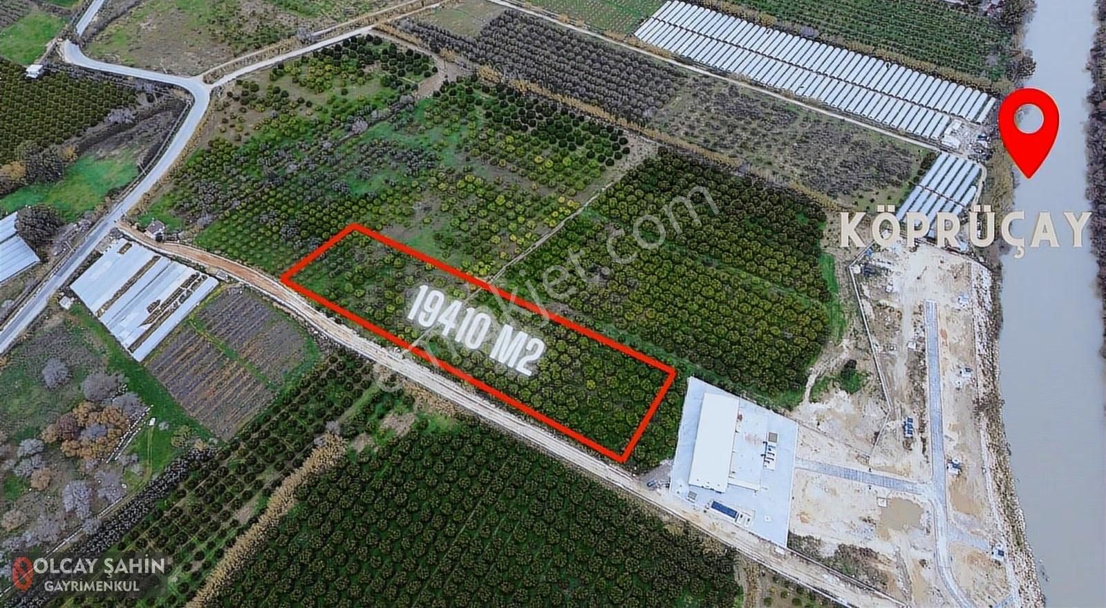 Serik Karadayı Bölgesi 19410 M2 Müstakil Tapulu Bahçe