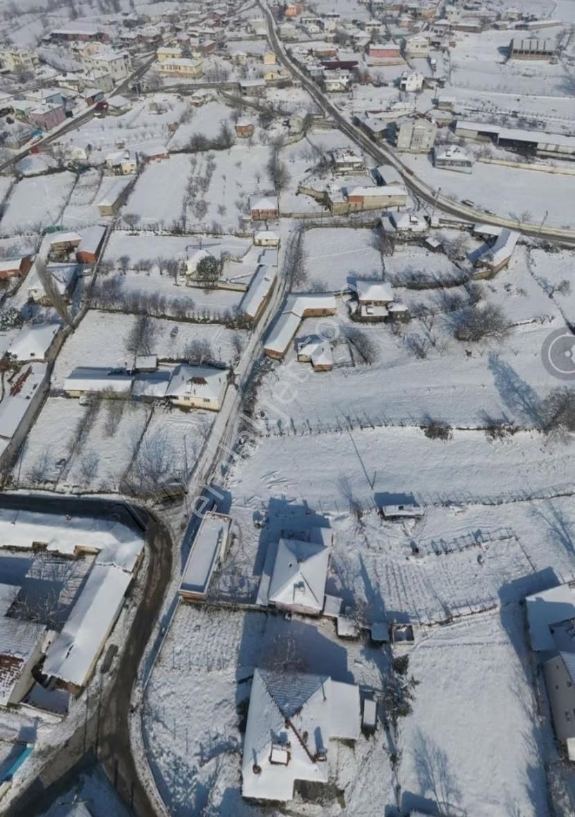 **balıkesir Balya Yenikavakta 17.500 M² Kapama Ceviz Bahçesi - Görsel 4