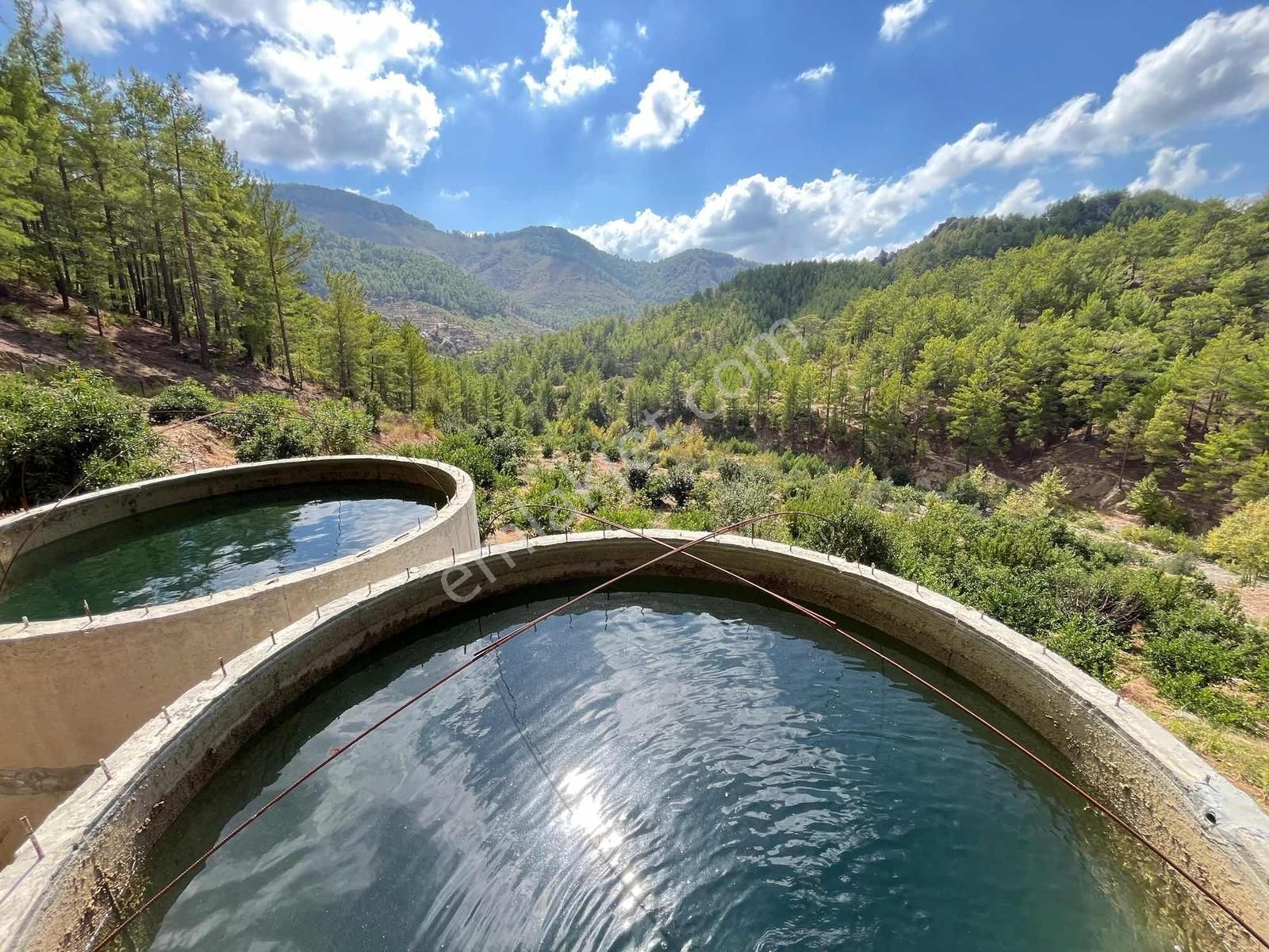 Satılık 8.300 M2 Avakado Ve Zeytin Bahçesi Fırsat Tarla - Görsel 35