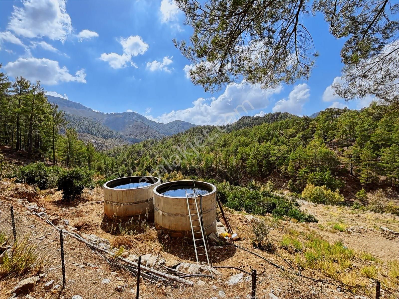 Satılık 8.300 M2 Avakado Ve Zeytin Bahçesi Fırsat Tarla - Görsel 27