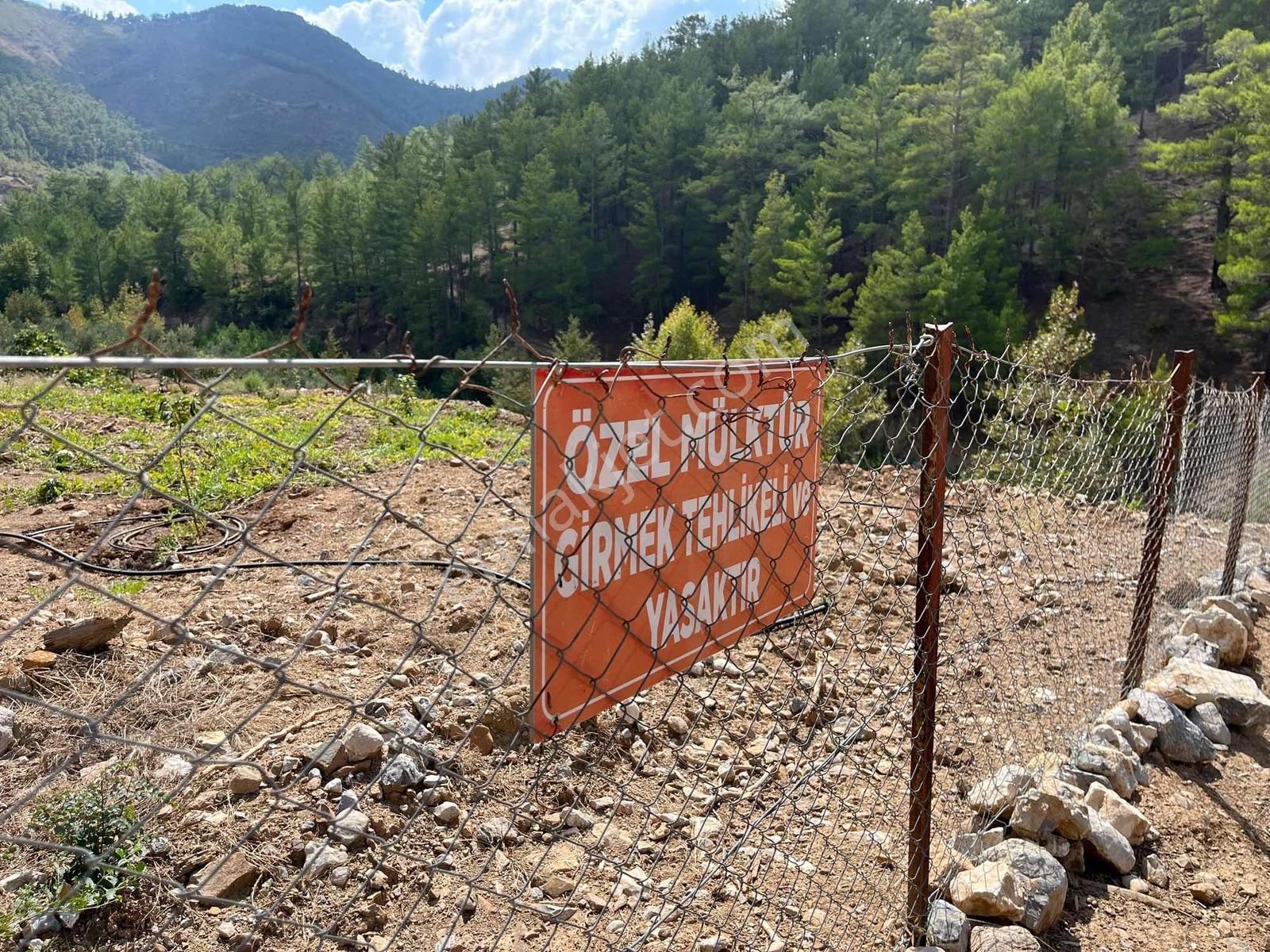 Satılık 8.300 M2 Avakado Ve Zeytin Bahçesi Fırsat Tarla - Görsel 29