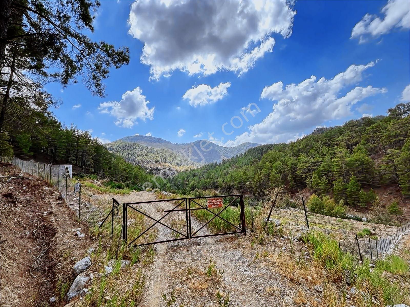 Satılık 8.300 M2 Avakado Ve Zeytin Bahçesi Fırsat Tarla - Görsel 18
