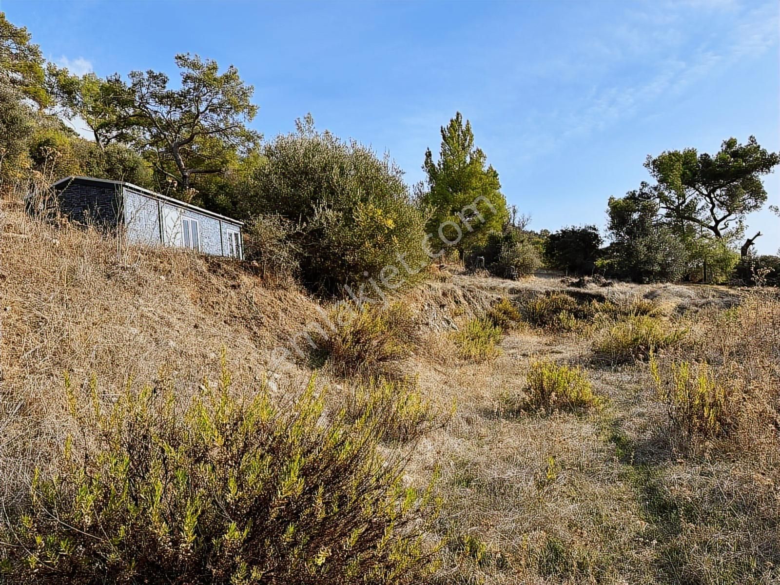Eksper Den Beykonakta Hayalini Yaşa! ''deniz Ve Doğa İle İçiçe'' - Görsel 6