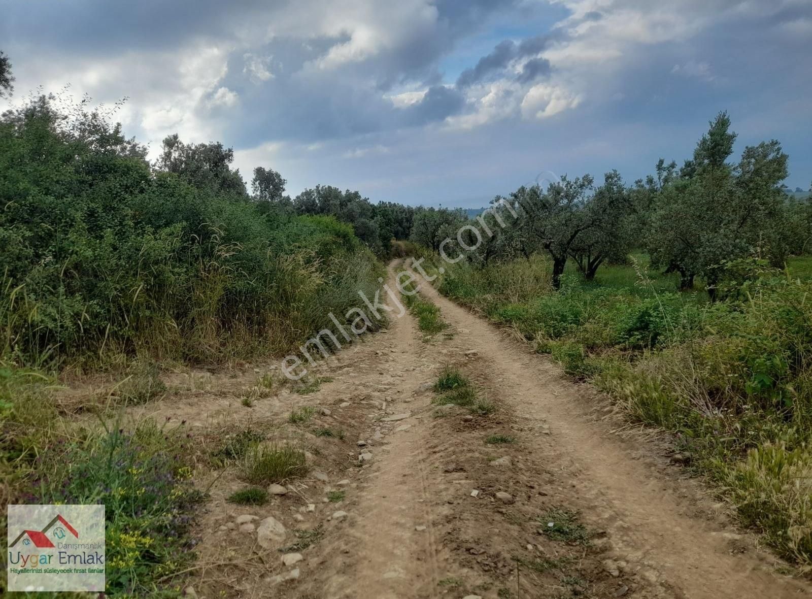 Orhangazi Üreılde Mustakil Köşe Bahçe Bungola Evinı Yap Otur - Görsel 16