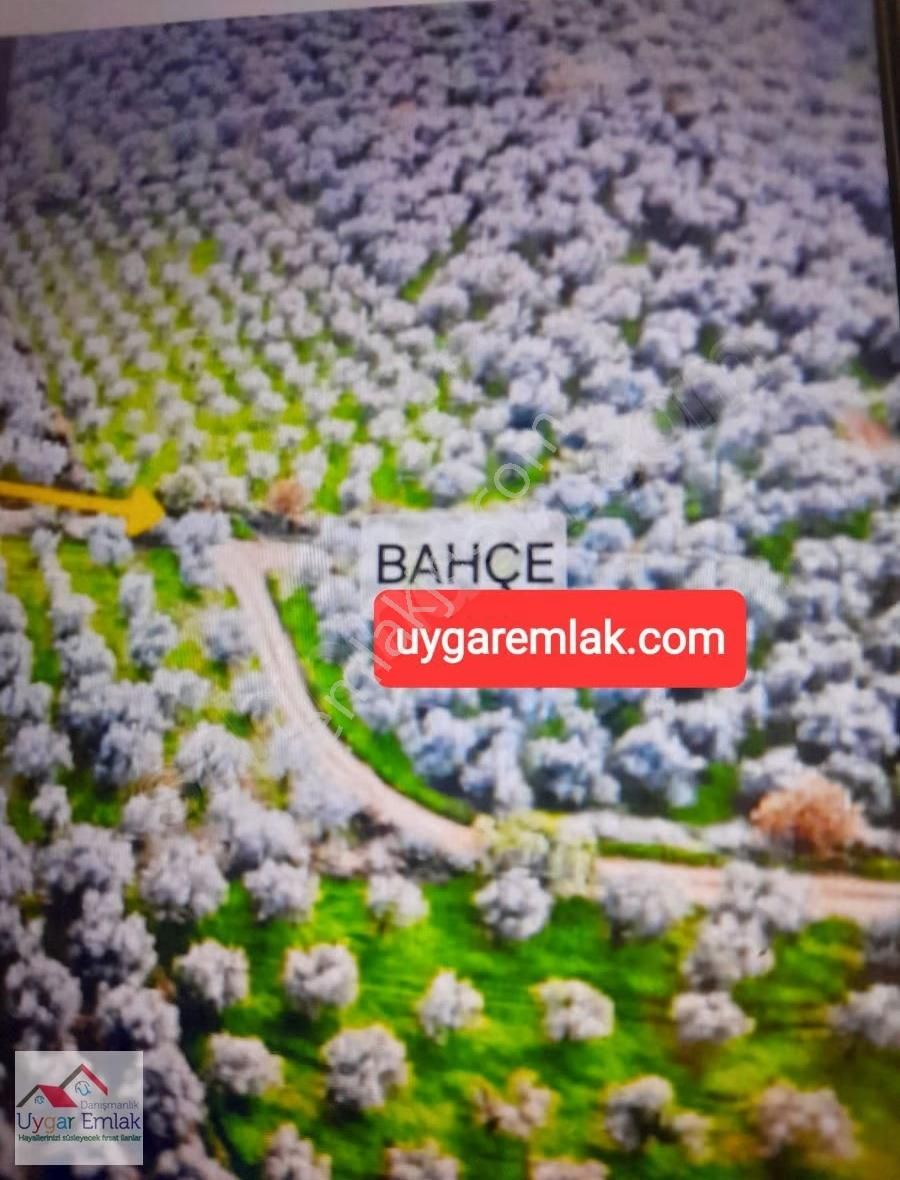 Orhangazi Üreılde Mustakil Köşe Bahçe Bungola Evinı Yap Otur