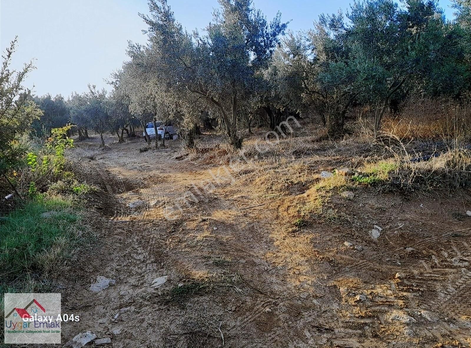 Orhangazi Üreılde Mustakil Köşe Bahçe Bungola Evinı Yap Otur - Görsel 11