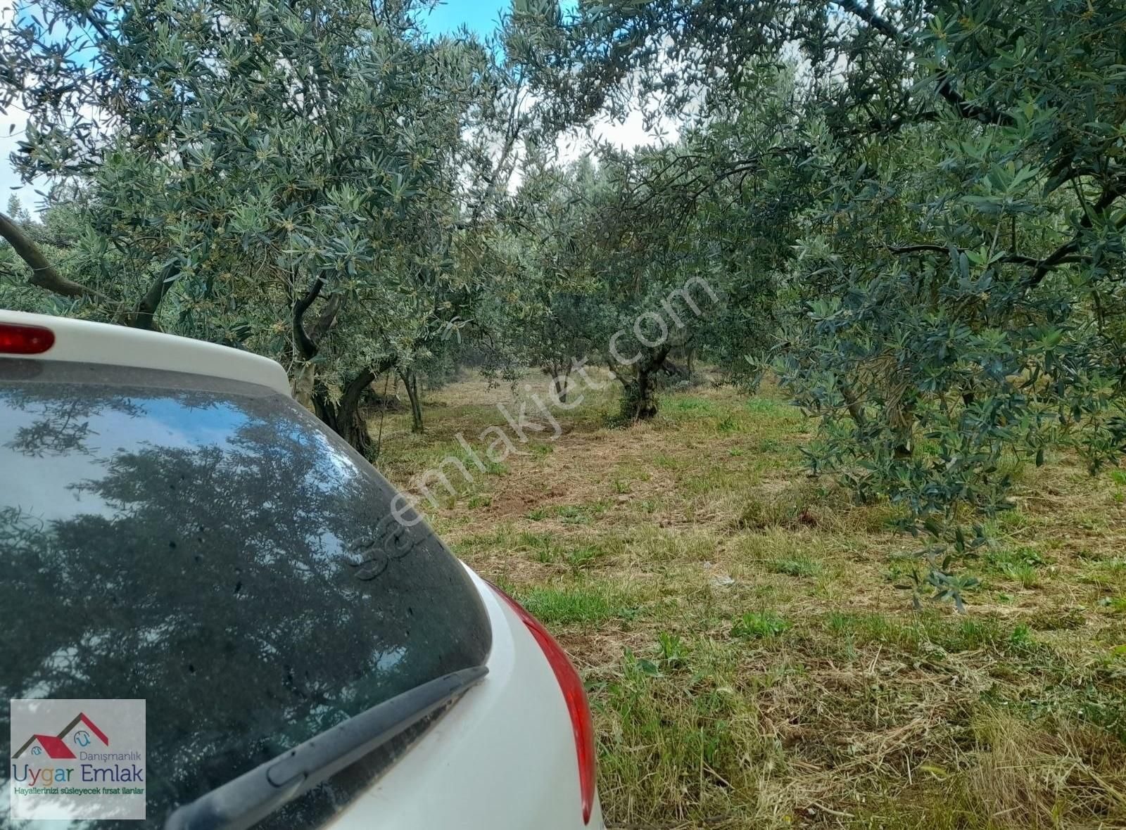 Orhangazi Üreılde Mustakil Köşe Bahçe Bungola Evinı Yap Otur - Görsel 17