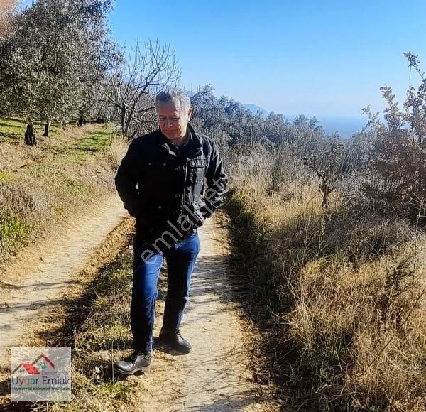 Orhangazi Üreılde Mustakil Köşe Bahçe Bungola Evinı Yap Otur - Görsel 28