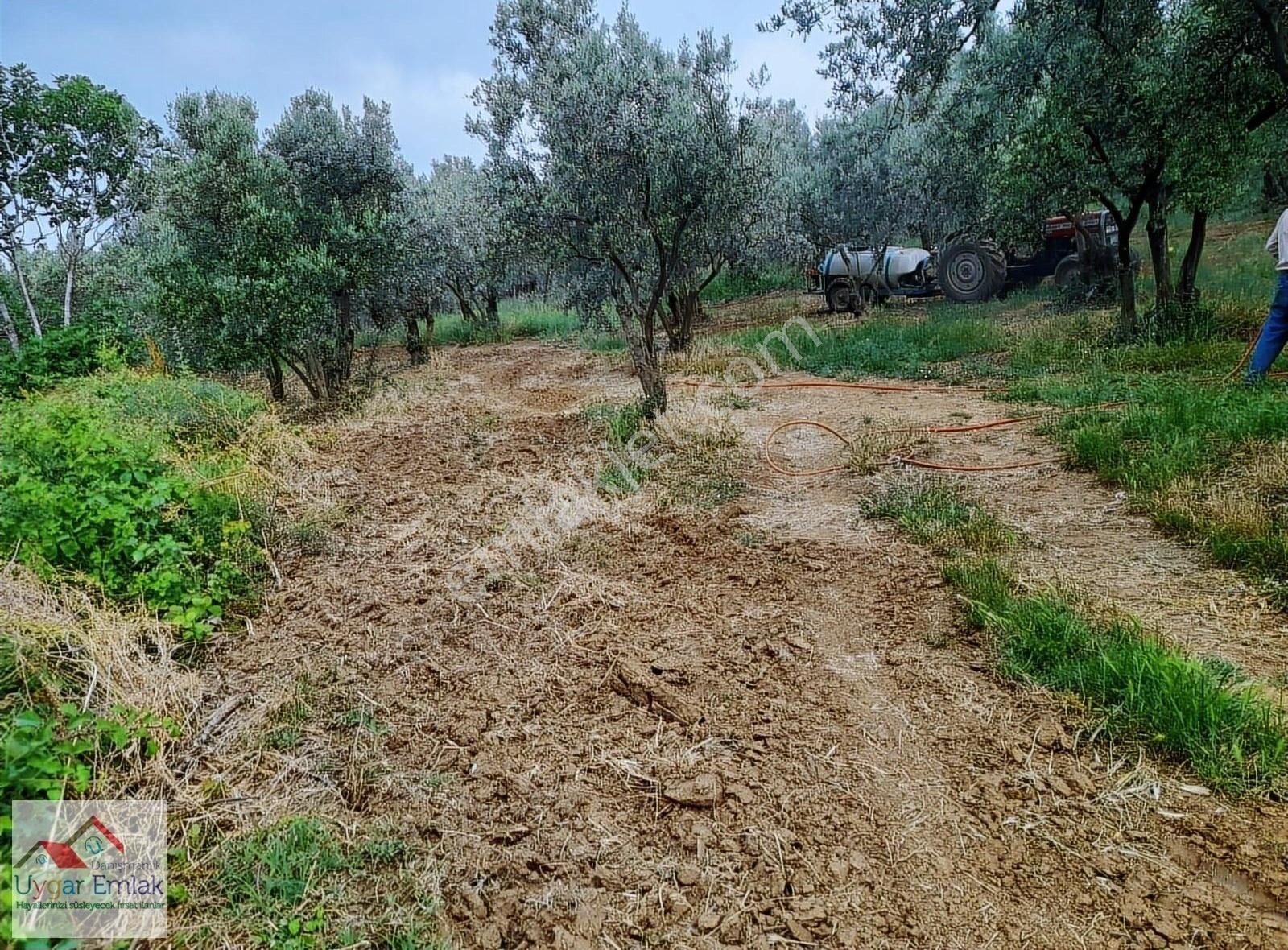 Orhangazi Üreılde Mustakil Köşe Bahçe Bungola Evinı Yap Otur - Görsel 22