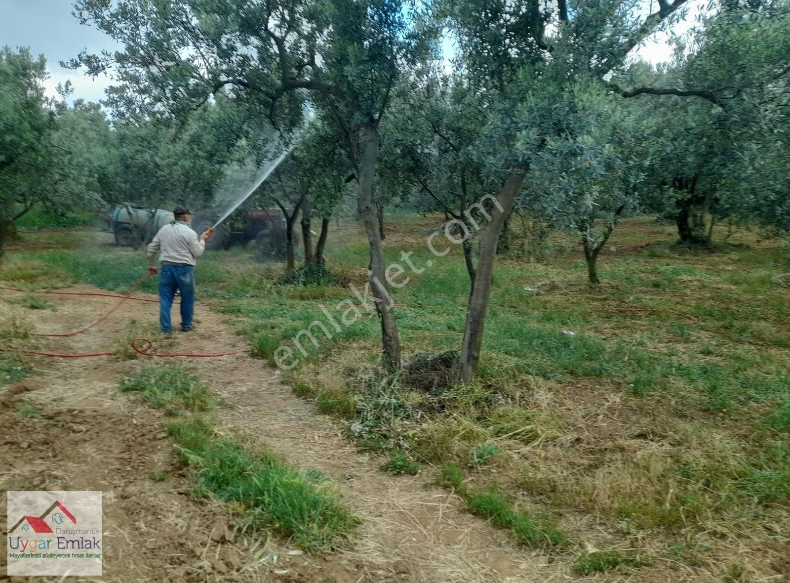 Orhangazi Üreılde Mustakil Köşe Bahçe Bungola Evinı Yap Otur - Görsel 26