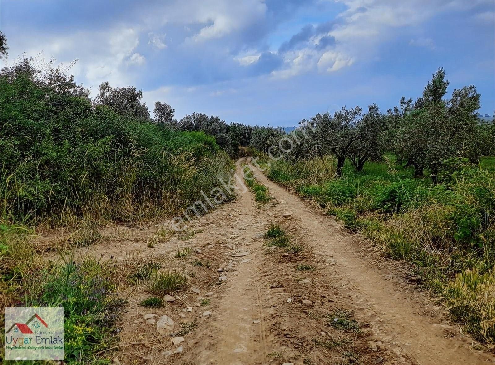 Orhangazi Üreılde Mustakil Köşe Bahçe Bungola Evinı Yap Otur - Görsel 4